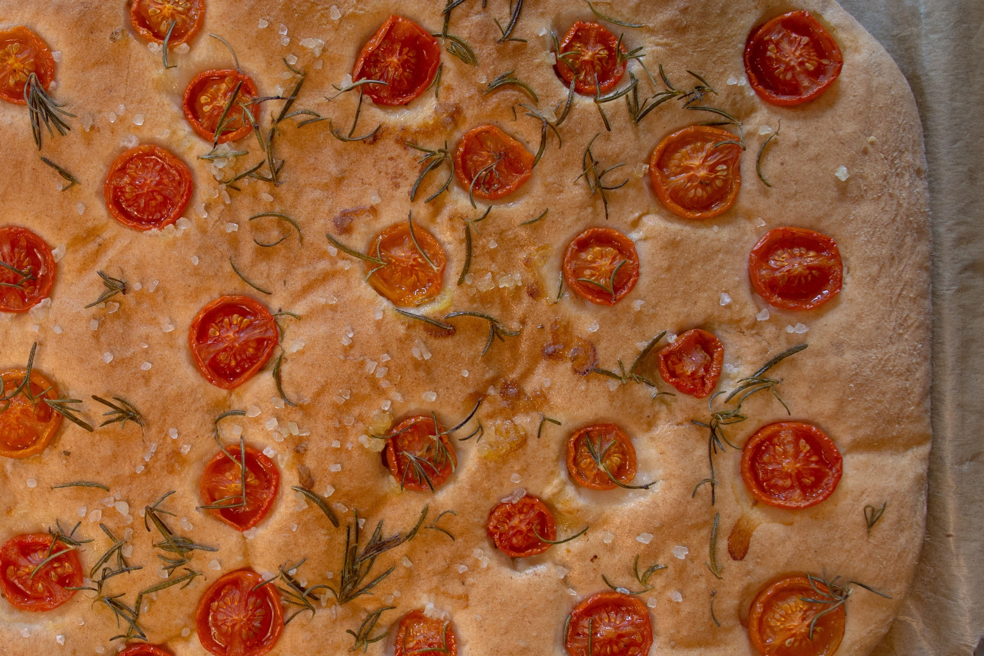 focaccia-con-pomodorini-e-rosmarino-molino-merano (1)